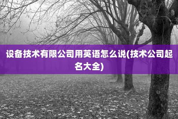 设备技术有限公司用英语怎么说(技术公司起名大全)