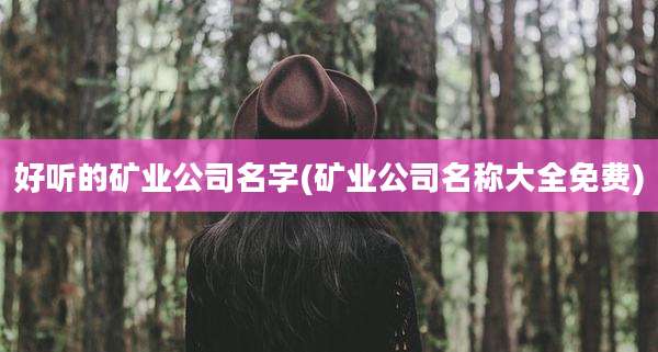 好听的矿业公司名字(矿业公司名称大全免费)