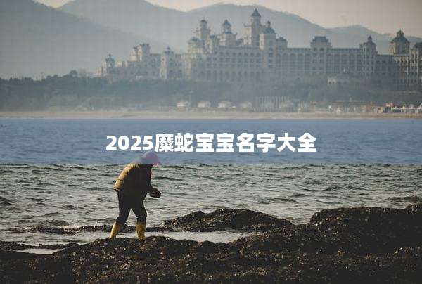 2025糜蛇宝宝名字大全