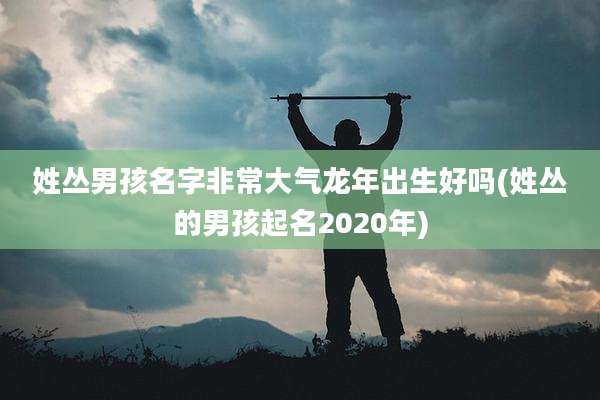姓丛男孩名字非常大气龙年出生好吗(姓丛的男孩起名2020年)