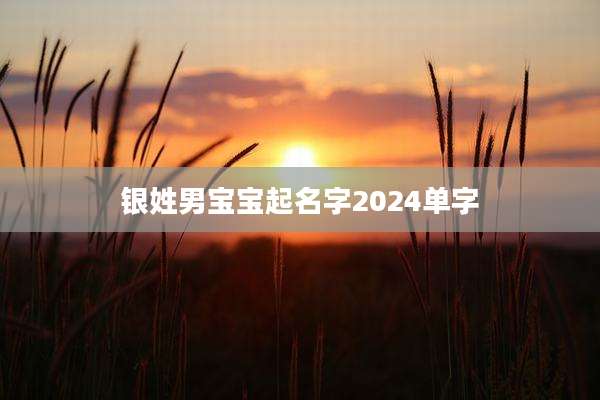 银姓男宝宝起名字2024单字