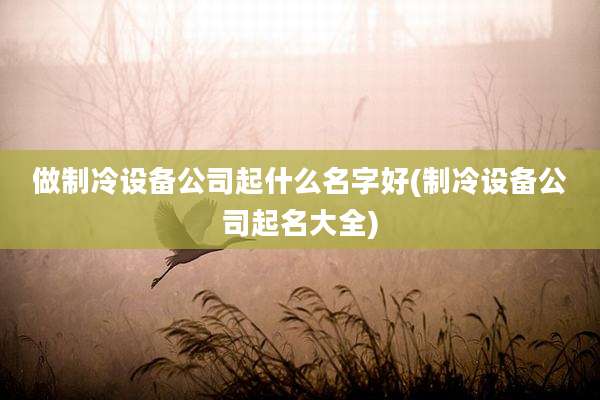 做制冷设备公司起什么名字好(制冷设备公司起名大全)