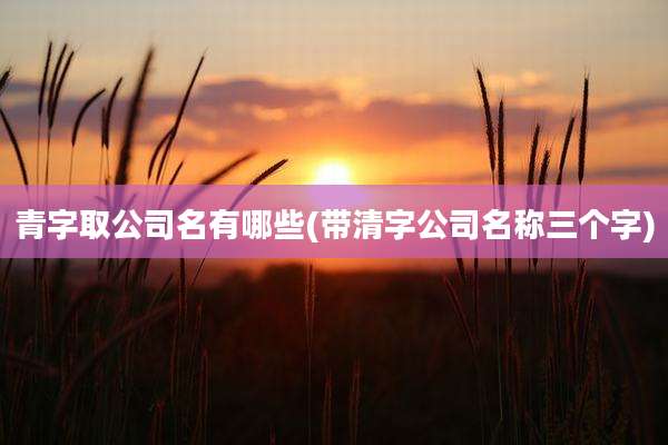 青字取公司名有哪些(带清字公司名称三个字)