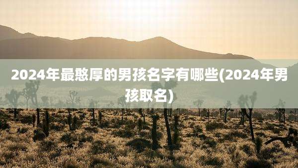 2024年最憨厚的男孩名字有哪些(2024年男孩取名)
