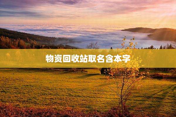 物资回收站取名含本字