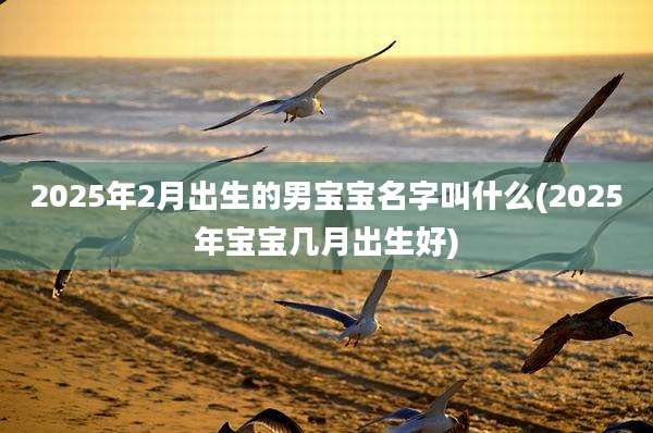 2025年2月出生的男宝宝名字叫什么(2025年宝宝几月出生好)