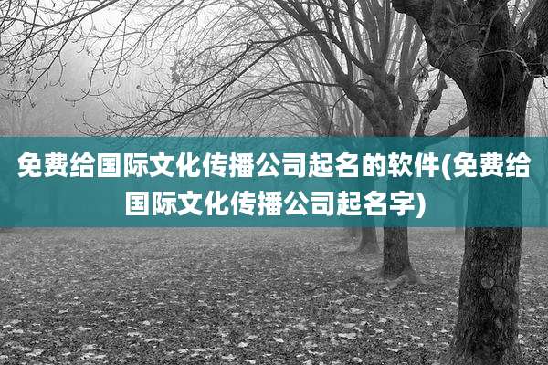 免费给国际文化传播公司起名的软件(免费给国际文化传播公司起名字)