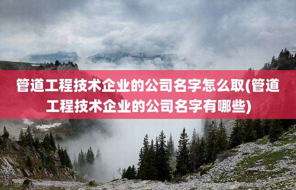 管道工程技术企业的公司名字怎么取(管道工程技术企业的公司名字有哪些)