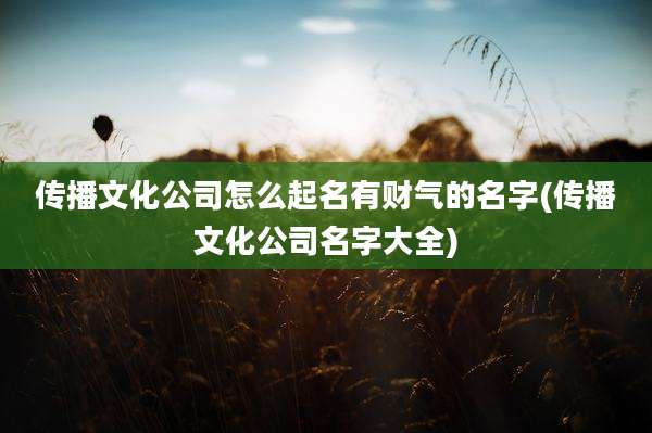 传播文化公司怎么起名有财气的名字(传播文化公司名字大全)