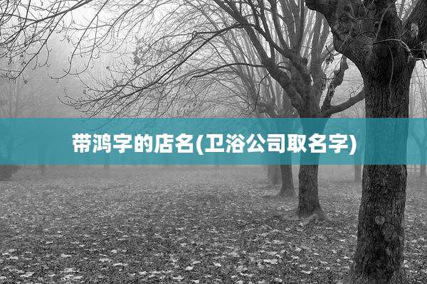 带鸿字的店名(卫浴公司取名字)