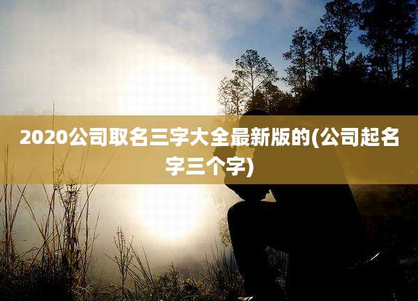 2020公司取名三字大全最新版的(公司起名字三个字)