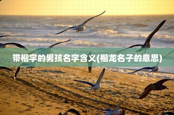 带楷字的男孩名字含义(楷龙名子的意思)