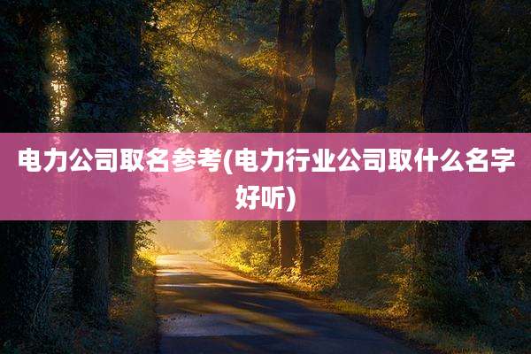 电力公司取名参考(电力行业公司取什么名字好听)