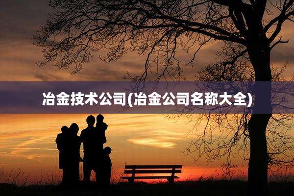 冶金技术公司(冶金公司名称大全)
