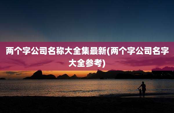 两个字公司名称大全集最新(两个字公司名字大全参考)