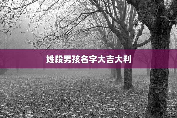 姓段男孩名字大吉大利