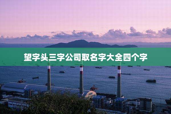 望字头三字公司取名字大全四个字