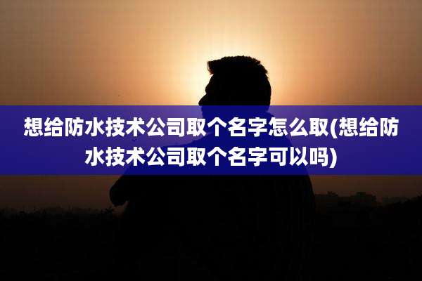 想给防水技术公司取个名字怎么取(想给防水技术公司取个名字可以吗)