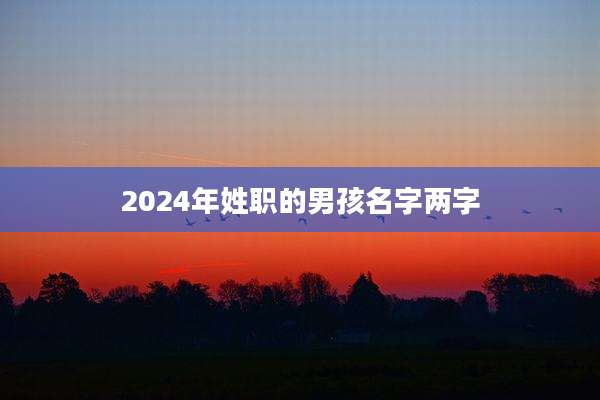 2024年姓职的男孩名字两字