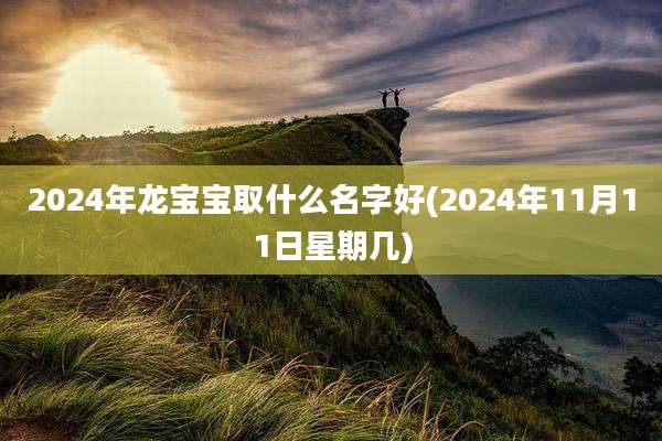 2024年龙宝宝取什么名字好(2024年11月11日星期几)