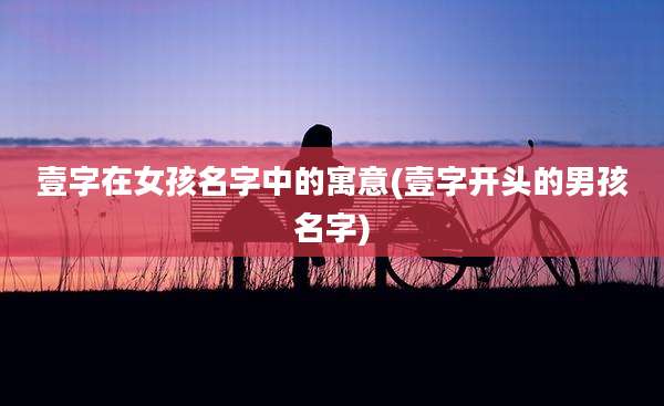 壹字在女孩名字中的寓意(壹字开头的男孩名字)