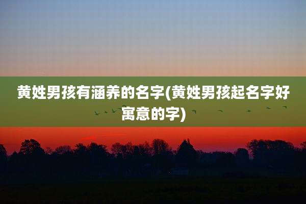 黄姓男孩有涵养的名字(黄姓男孩起名字好寓意的字)