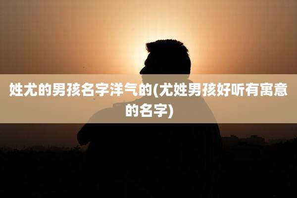 姓尤的男孩名字洋气的(尤姓男孩好听有寓意的名字)