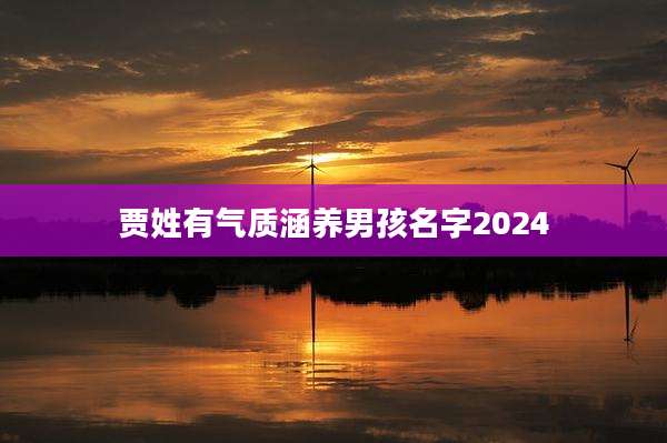 贾姓有气质涵养男孩名字2024