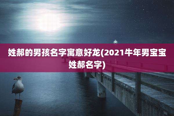 姓郝的男孩名字寓意好龙(2021牛年男宝宝姓郝名字)