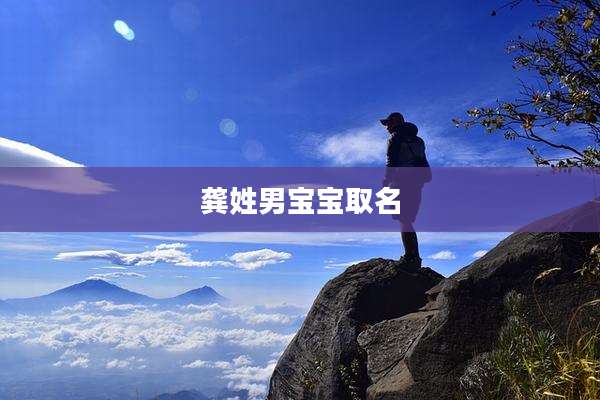 龚姓男宝宝取名