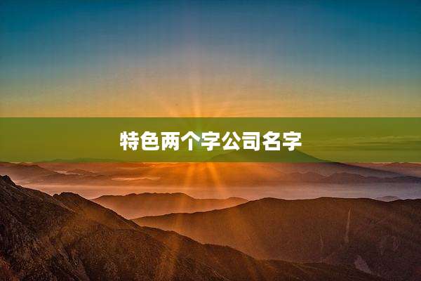 特色两个字公司名字