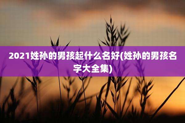 2021姓孙的男孩起什么名好(姓孙的男孩名字大全集)