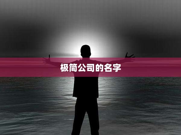极简公司的名字