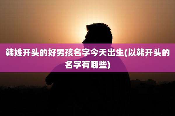 韩姓开头的好男孩名字今天出生(以韩开头的名字有哪些)