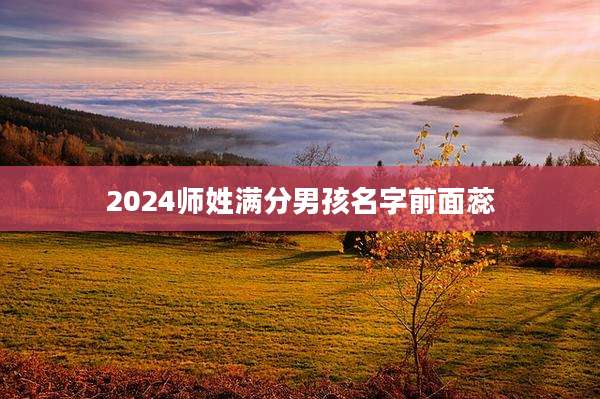 2024师姓满分男孩名字前面蕊