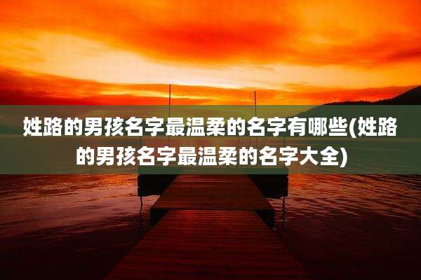 姓路的男孩名字最温柔的名字有哪些(姓路的男孩名字最温柔的名字大全)