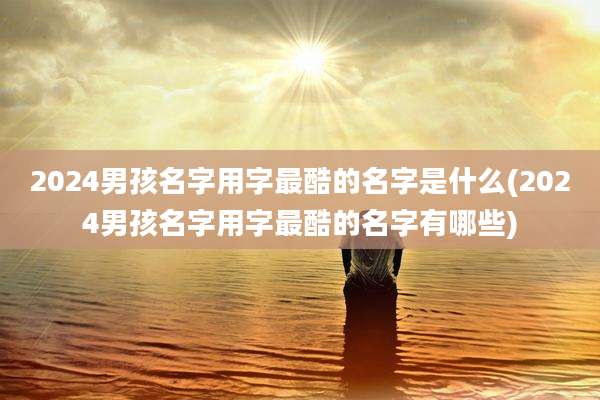 2024男孩名字用字最酷的名字是什么(2024男孩名字用字最酷的名字有哪些)