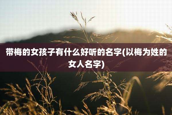 带梅的女孩子有什么好听的名字(以梅为姓的女人名字)