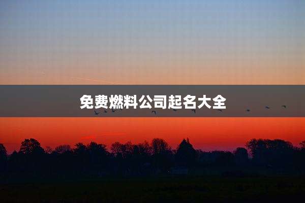 免费燃料公司起名大全
