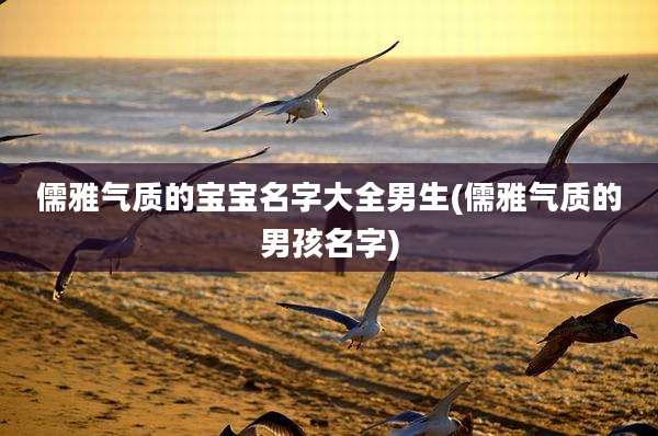 儒雅气质的宝宝名字大全男生(儒雅气质的男孩名字)