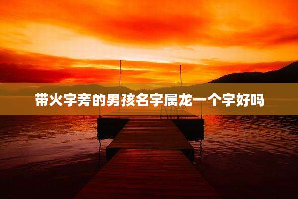 带火字旁的男孩名字属龙一个字好吗
