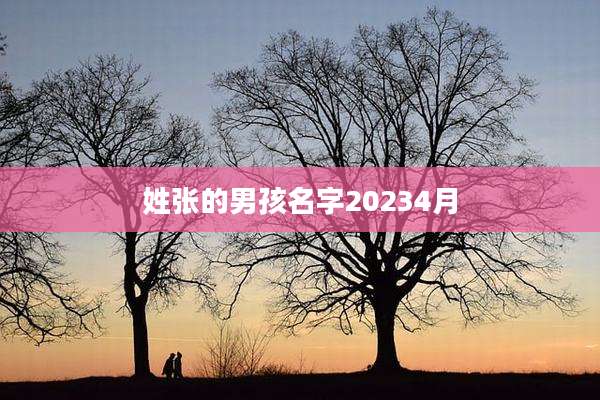 姓张的男孩名字20234月