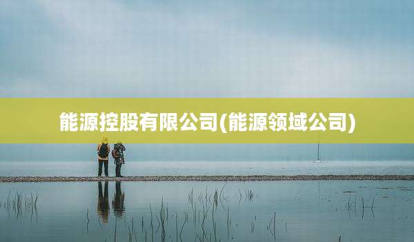 能源控股有限公司(能源领域公司)