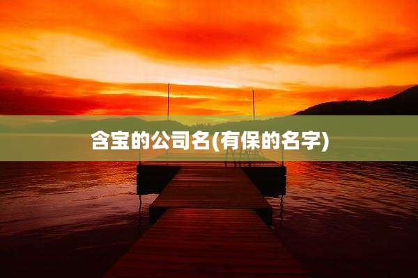 含宝的公司名(有保的名字)