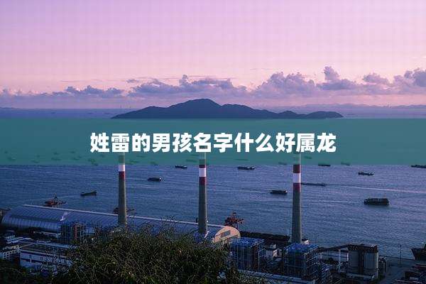 姓雷的男孩名字什么好属龙