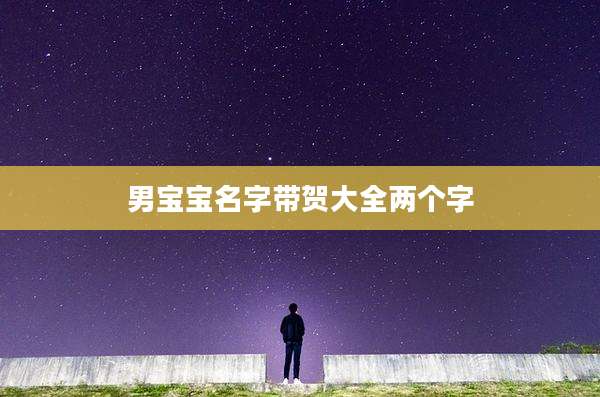 男宝宝名字带贺大全两个字