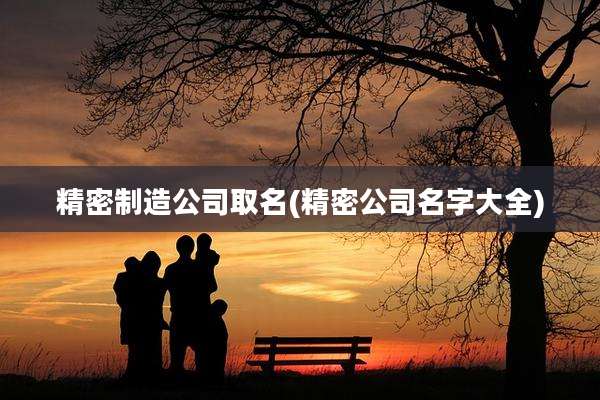精密制造公司取名(精密公司名字大全)