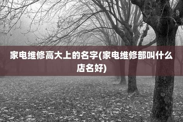 家电维修高大上的名字(家电维修部叫什么店名好)