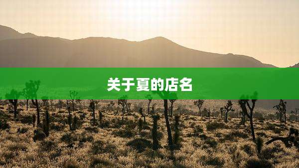 关于夏的店名