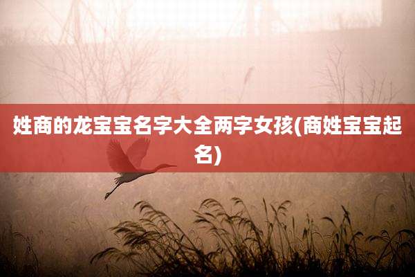 姓商的龙宝宝名字大全两字女孩(商姓宝宝起名)